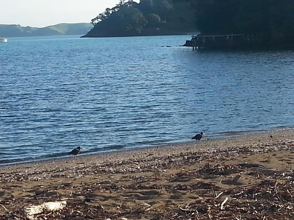 Oamaru Bay Tourist Park Hotel Coromandel ภายนอก รูปภาพ